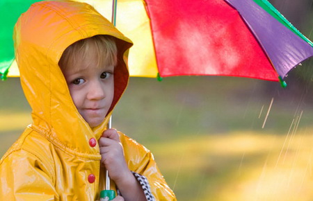 �������� ���� ��� �������